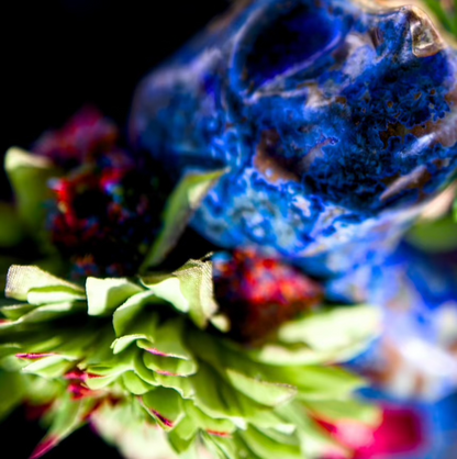 Floreszendierender Freisinn