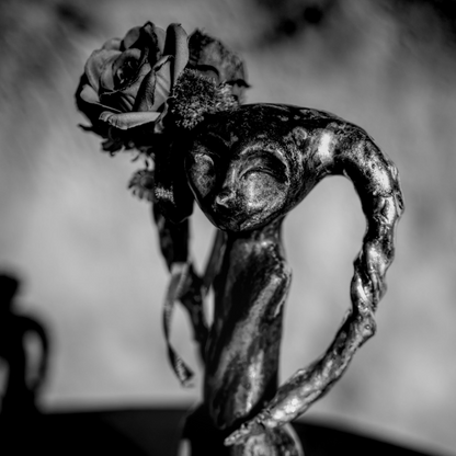 Mercy and Encompassion [Güte und Enkompassion]