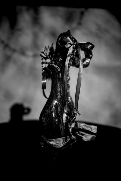 Floreszendierender Freisinn