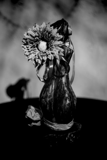 Floreszendierender Freisinn
