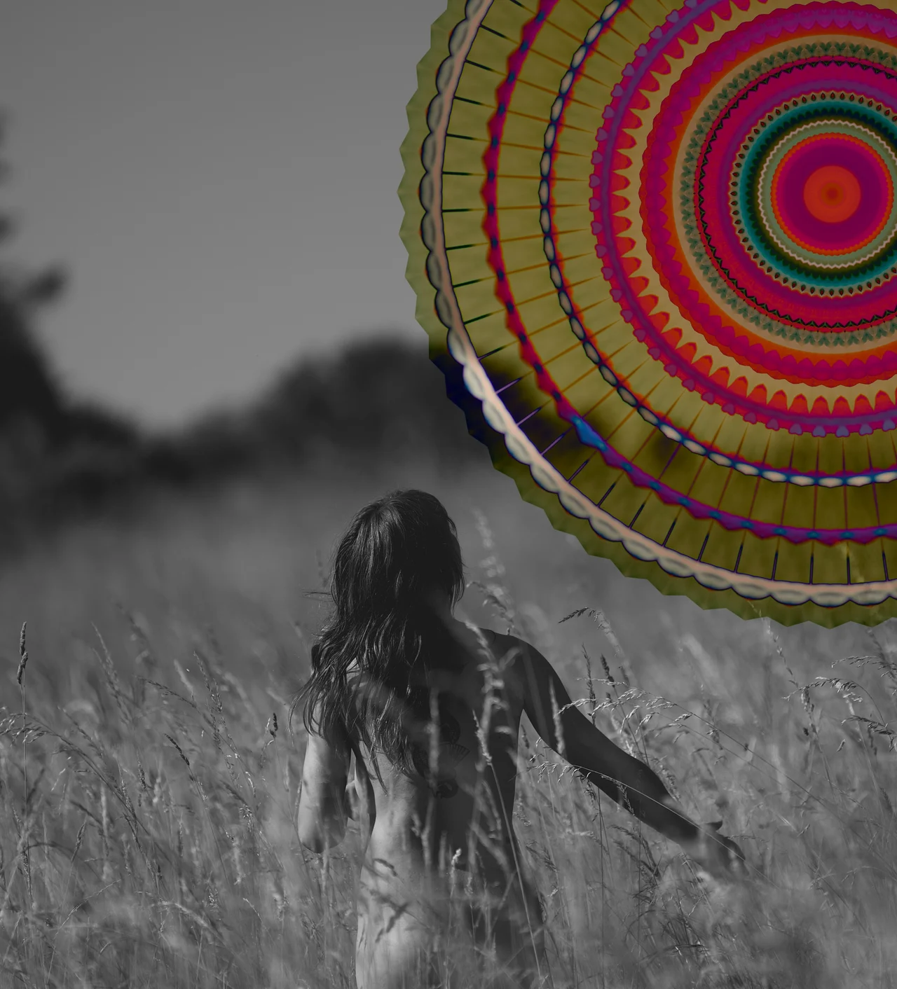 Centina Alexa walking through meadow grasses beneath a colorful circular pattern.